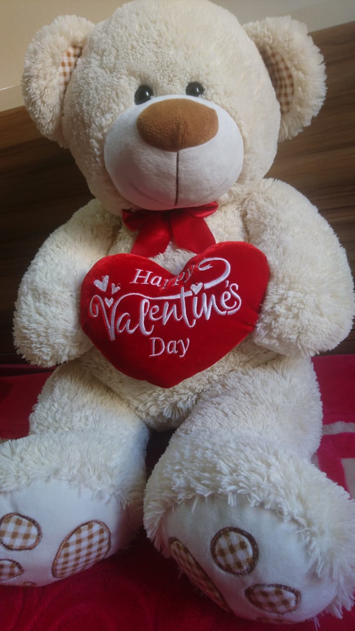 Teddy Happy Valentine