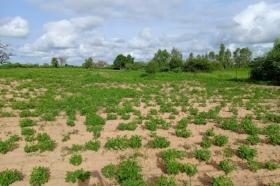 Verger de 1,82 hectare vers Tassette DOSSIER : @senhectare VB-8-924-K
SUPERFICIE:
1 hectare 82 are 14 ca
EMPLACEMENT:
À 300 mètres de l’axe Thiès-Tassette.
Dans la Commune de : Tassette.
Distant de la ville de Dakar: 01 Heure 40 Minutes ( 88 Km )
Distant de la ville de Thiès: 44 Minutes ( 25 Km )
Distant de la ville de Mbour: 01 Heure 05 Minutes ( 64,8 Km )
Profondeur des Puits estimée dans la zone : 30 mètres.
Profondeur des Forages estimée dans la zone : 140 mètres.
TERRAIN:
Parfaitement adapté à toutes les activités agropastorales…
Dispose de:
1 Manguier productif
ACCÈS:
Relativement simple
TYPE DE SOL: 
Dekk Dior
DISPONIBILITÉ:
Immédiate
Frais de visite: 15 000 F CFA