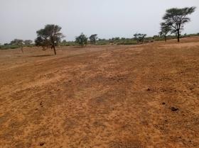 Terrain de 2,65 hectares vers Touba Toul