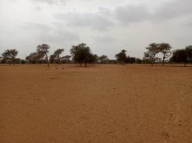 Terrain de 7130 m² vers Touba Toul