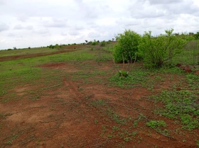 Terrain de 1,16 hectare vers Notto Diobass DOSSIER : @senhectare TN-5-824-K
SUPERFICIE:
1 hectare 16 are 32 ca
EMPLACEMENT:
À 900 mètres de la route Thiès -Tassette.
Dans la Commune de : Notto Diobass.
Distant de la ville de Dakar: 01 Heure 40 Minutes ( 88 Km )
Distant de la ville de Thiès: 44 Minutes ( 25 Km )
Profondeur des Puits estimée dans la zone : 25 mètres.
Profondeur des Forages estimée dans la zone : 120 mètres.
TERRAIN:
Parfaitement adapté à toutes les activités agropastorales…
ACCÈS:
Relativement simple
TYPE DE SOL: 
Dek Dior
DISPONIBILITÉ:
Immédiate
Frais de visite: 15 000 F CFA