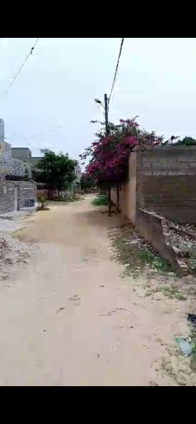 Terrain de 300 mètres carrés à vendre à Mbour Sénégal Terrain 300 mètres carrés à vendre Grand Mbour
Côté pharmacie Mouhamed
En face du dépôt de gaz
Type de Papier : délibération
Zone calme
Accès facile
À 45 minutes de Dakar
AIBD à 30 minutes
Bon pour projet à usage d’habitation ou d’investissement immobilier
Prix : 17.000.000 de francs CFA soit  25 954 euros

