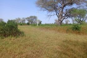 Terrain de 4 hectares vers Thienaba