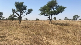 Terrain de 300 mètres carrés à vendre à Malicounda Sénégal Lot de terrains de 300 mètres carrés à vendre à Malicounda Takhoum Extension
Type de Papier: délibération
À 20 minutes de la sortie du péage
Zone calme
Accès facile
Très bon sol
Aéroport AIBD à 35 minutes
À 45 minutes de Dakar
Bon pour projet à usage d’habitation ou d’investissement immobilier
Prix: 2.000.000 de francs CFA soit 3.053 Euros par parcelle
