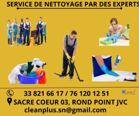 SERVICE DE NETTOYAGE PAR DES EXPERT