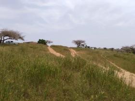 Terrain de 1,83 hectare vers Diokoul Diewrigne 1 hectare 83 are 50 ca
EMPLACEMENT:
À 300 mètres de l’axe Lompoul Village-Saint Louis;
Dans la Commune de : Diokoul Diewrigne
Distant de la ville de Dakar: 03 Heures 27 Minutes ( 194 km )
Distant de la ville de Thiès: 02 Heures 20 Minutes ( 124 km )
Distant de la ville de Louga: 55 Minutes ( 64,5 km )
Profondeur des Puits estimée dans la zone : 18 mètres.
Profondeur des Forages estimée dans la zone : 140 mètres.
TERRAIN:
Parfaitement adapté à toutes les activités agropastorales…
ACCÈS:
Relativement simple
TYPE DE SOL: 
Dekk Dior
DISPONIBILITÉ:
Immédiate
Frais de visite: 15.000 F CFA