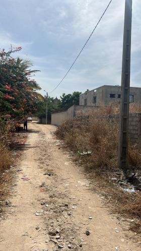 Terrain de 500 mètres carrés à vendre à Saly Sénégal Terrain de 500 mètres carrés à vendre à Saly
 Niakh-Niakhal
À la troisième position de la plage
Type de Papier : délibération
Tous les papiers disponibles
Eau et électricité disponibles
Quartier calme et résidentiel
Accès facile
Pas loin de la route Saly Niakh-Niakhal
Centre de Saly à 12 minutes
Commerces et services à proximité
Bon pour projet à usage d’habitation ou d’investissement immobilier
