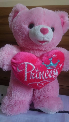 Nounours Rose Princess Voici une Magnifique ours en peluche "Princess" de couleur Rose,elle vous plait déja j