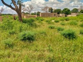 Terrain de 225 mètres carrés à vendre à Saly Sénégal 
Terrain de 225 mètres carrés à vendre à Saly
Au niveau de Keur Youngar
Type de papier: délibération
Zone calme
Accès facile
Eau et électricité disponibles
Aéroport AIBD à 30 minutes
Dakar à 45 minutes en voiture
Bon pour projet à usage d’habitation ou d’investissement immobilier
Prix: 8.000.000 de francs CFA soit 12 214 euros
