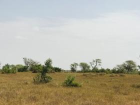 Terrain de 2,16 hectares à Koul