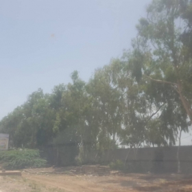 A vendre des terrains à Rufisque Nous mettons en vente des terrains de 1ha et 5ha à Rufisque sur la route de l’hôpital Youssou Mbargane Diop sortie 10 de l’autoroute à péage.
Prix : nous consulter