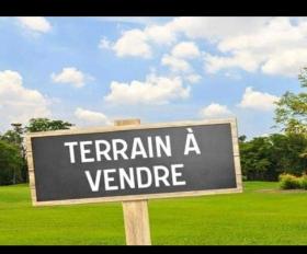 Terrains agricoles en vente  Bonjour, Un terrain agricole est mis en vente à Guéreo, département de mbour, intéressé, merci de me faire signe sur WhatsApp.