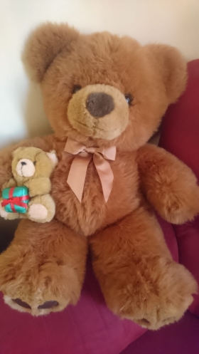 Teddy Ours / Ourson Cadeau