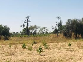 Terrain de 22 hectares vers Thiénaba