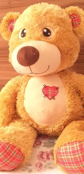 Peluche Teddy