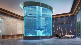 Aquarium Réalisation d