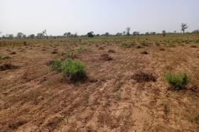 Terrain de 2,88 hectares vers Khombole