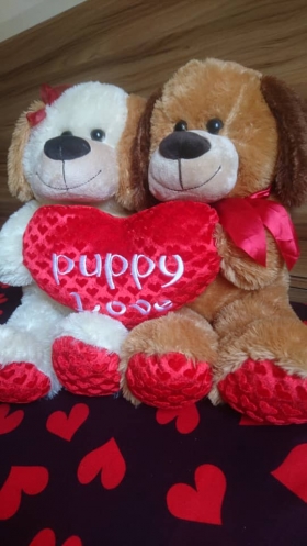 Couple Peluches Puppy Love
