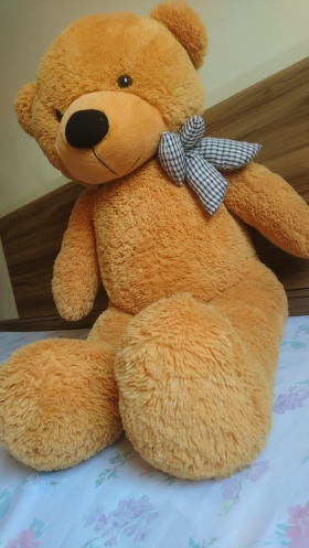 Peluche Teddy Ours Geant