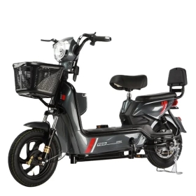 Moto Électrique 2 places  Moto Électrique 2 places
Cette moto électrique puissante vous permet de faire des économies d