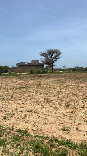 Terrain de 300 mètres carrés à vendre à Malicounda Sénégal Terrain de 300 mètres carrés à vendre à Malicounda péage
Type de papier : délibération
À 3 minutes de la sortie péage
Eau et électricité disponible
Zone calme
Accès facile
Bon pour projet à usage d’habitation ou d’investissement immobilier
Prix: 8 000 000 de francs CFA soit 12 214 euros
