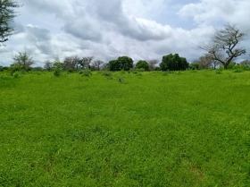 Terrain de 8579 m² vers Notto Diobass