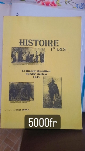 Histoire et Géographie 1ère L&S Vendu ensemble