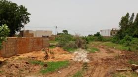 Terrain de 300 mètres carrés à vendre à Saly Sénégal