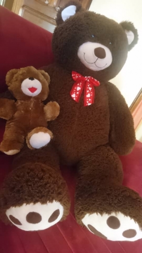 Peluche Ours Geant&Ourson