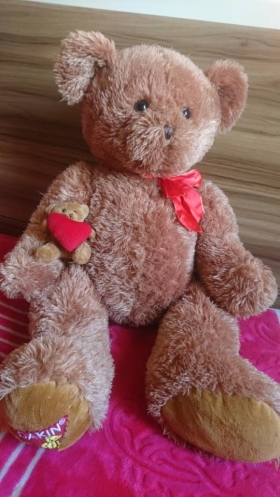 Peluche Ours+Ourson