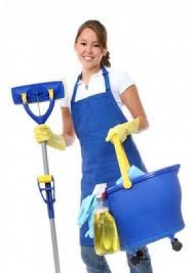 Offre d'emploi ménage et linge