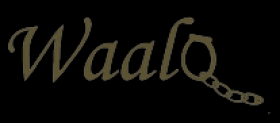 Waalo jeu de société 100% Sénégalais Waalo est un jeu de rôle 100% sénégalais dont l