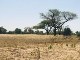 Terrain de 22 hectares vers Thiénaba