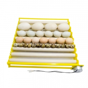 Couveuse automatique 112 et 224 œufs  Des Couveuses automatiques sont disponibles marque ovavitech 