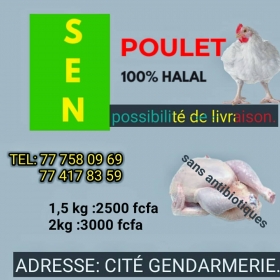 Vente de poulet  Vente de poulet pour les événements : Gamou, Magal, Pâques... 
