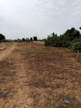 Terrain de 300 mètres carrés à vendre à Malicounda Sénégal