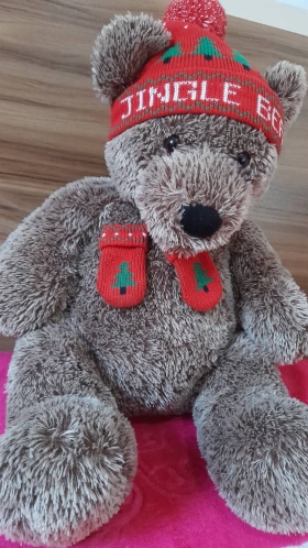 Teddy Merry Christmas 