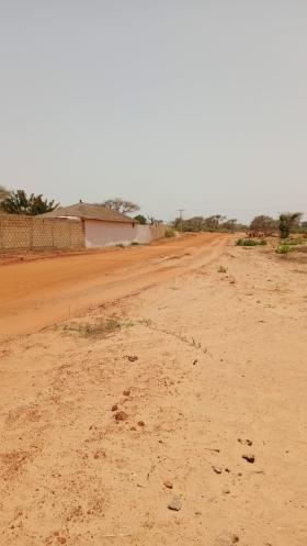 Terrain de 350 mètres carrés à vendre à Malicounda Sénégal