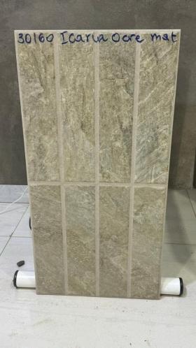 Carreaux porcelaine 30/60