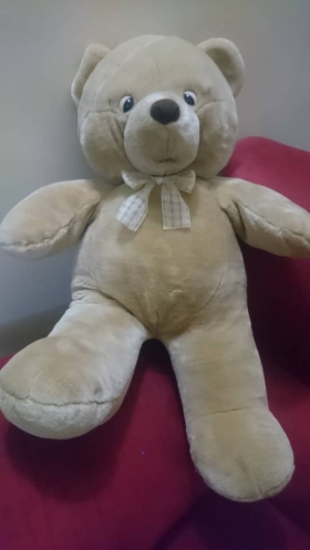 Peluche teddy L'Ours