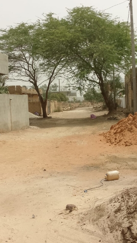 Terrain de 1200 mètres carrés à vendre à Saly, Sénégal