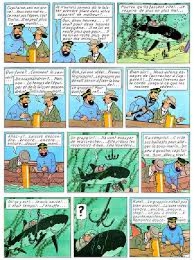 PDF - Hergé, Les aventures de Tintin: Le Trésor de Rackham le Rouge 64 Pages ·
