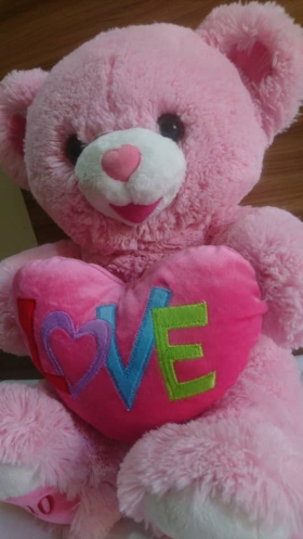 Nounours for Love 