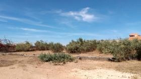 Terrains de 300 mètres carrés à vendre à Malicounda Sénégal Lot de 4 terrains jumelés de 300 mètres carrés à vendre à Malicounda bambara
 quartier Casamance
À 200m de la route goudronnée
Péage 5 minutes
Électricité eau disponibles
Type de Papier : délibération nicad PV de vérification
Zone calme
Accès facile
Très bon sol
Aéroport AIBD à 35 minutes
À 45 minutes de Dakar
Bon pour projet à usage d’habitation ou d’investissement immobilier
Prix: 10.000.000 de francs CFA soit 15.267 Euros par parcelle

