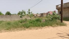 Terrain de 300 mètres carrés à vendre à Saly Sénégal Terrain de 300 mètres carrés à vendre à Saly Médine  Sénégal
En angle de rue
Type de papier: Délibération
Zone calme
Accès facile
Aéroport AIBD à 30 minutes
À 45 minutes de Dakar
Bon pour projet à usage d’habitation ou d’investissement immobilier
Prix: 10.000.000 de francs CFA soit 15 267 euros
