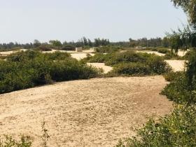 Verger de 4,5 hectares à Darou Khoudoss