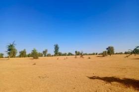 Terrain de 2,96 hectares vers Mbadiane