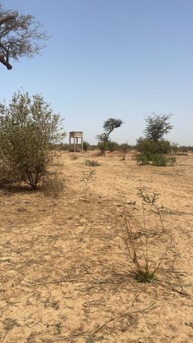 Terrain de 300 mètres carrés à vendre à Nguékhokh Sénégal