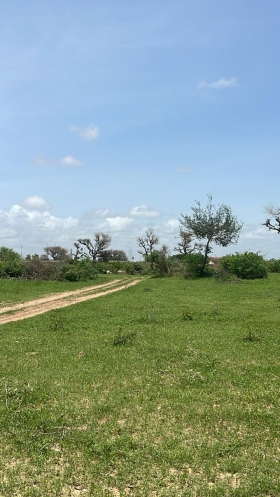 Terrain de 300 mètres carrés à vendre à Malicounda Sénégal Lot de 3 parcelles de 300 mètres carrés à vendre à Malicounda péage
Type de papier: délibération
Eau et électricité à 500 mètres
À 5 minutes de la sortie du péage
Zone calme
Accès facile
Dakar à 45 minutes
AIBD à 30 minutes
Bon pour projet à usage d’habitation ou d’investissement immobilier
