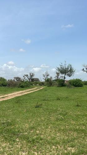 Terrain de 300 mètres carrés à vendre à Malicounda Sénégal